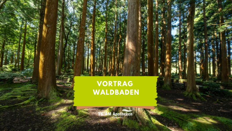Vortrag: Waldbaden mit ätherischen Ölen Beitragsbild