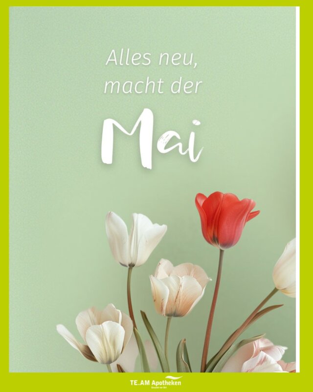 🌸 Alles neu macht der Mai – auch in Euren TE.AM Apotheken!

Zeit für frischen Schwung, neue Routinen und gute Vorsätze für Gesundheit & Wohlbefinden. Wir begleiten Euch gern dabei!
___________________________________________________
✔️Melde dich gerne bei Fragen bei uns in der Apotheke
📍Sprockhövel - Hauptstr. 37
📞 02324 / 73021
📱 TE.AM Apotheken App
💻 online Vorbestellung
🚙 Botendienst
📦 Versand (Deutschlandweite Zustellung innerhalb von 5–7 Tagen)
🌎 www.team-apotheken.de
___________________________________________________