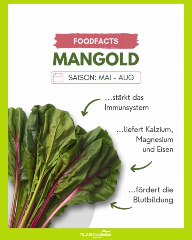 Gesund und vielseitig – darum nehmen wir das leckere Blattgemüse heute etwas näher unter die Lupe 🔍

✨ Tipp: Integriere täglich eine Portion Blattgemüse in deine Mahlzeiten – ob als frischen Salat, im Smoothie oder leicht gedünstet. Dein Körper wird es dir danken! 💚
____________________________________________
✔️Melde dich gerne bei Fragen bei uns in der Apotheke
📍Sprockhövel - Hauptstr. 37
📞 02324 / 73021
📱 TE.AM Apotheken App
💻 online Vorbestellung
🚙 Botendienst
📦 Versand (Deutschlandweite Zustellung innerhalb von 5–7 Tagen)
🌎 www.team-apotheken.de
____________________________________________
#Blattgemüse #GesundeErnährung #Superfood #Vitamine #Mineralstoffe #Chlorophyll #Antioxidantien #Ballaststoffe #GesundLeben #ApothekenTipp #gesundvorort #team_apotheken