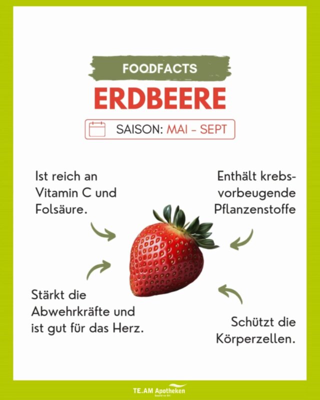 Von Mai bis August kann man die süßen Powerfrüchte überall bekommen und genießen.🍓🌞
Erdbeeren schmecken einfach immer – im Obstsalat, im Eisbecher oder als Snack zwischendurch.🍨

Und das Beste: Sie bereichern Körper und Seele! Vollgepackt mit Vitaminen, Mineralien, Antioxidantien & Co. – und sogar mehr Vitamin C als Orangen! 💪🍊 
Schon im Mittelalter galten sie als Heilpflanze 🌿

So schmeckt der Sommer! 😋🍓

#Erdbeeren #Sommergenuss #Vitaminpower #Superfood #ObstLiebe #GesundNaschen #FruchtigFit #Apothekenwissen #TeamApotheke #Saisonobst #gesundvorort #team_apotheken